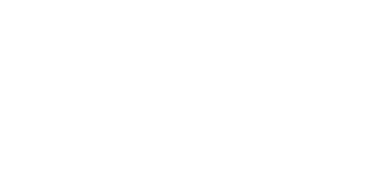 Stylecraft