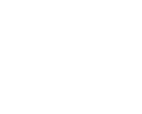 MLLE D'ERRICO